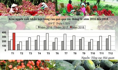 rau-qua-xuat-khau-20180227-23025879-1519