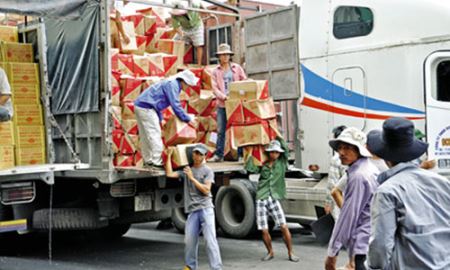 HTX Hữu Nghị (Lạng Sơn): Chuyên nghiệp là chìa khóa thành công