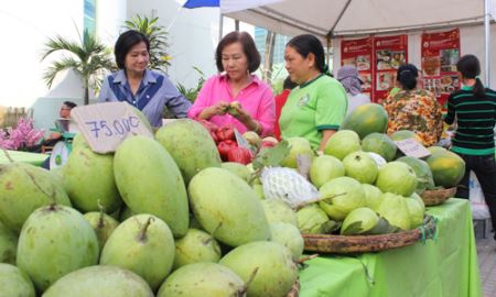 Có nên “giảm lượng, tăng chất”  xuất khẩu nông sản?