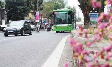  Hà Nội: Dừng triển khai tuyến buýt nhanh Kim Mã- Hòa Lạc