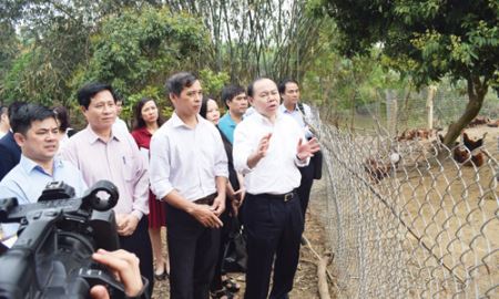 Ra quân xây dựng HTX gắn với chuỗi ở Thái Nguyên