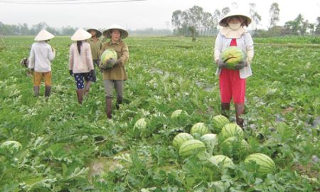 Thanh Hóa trước cuộc ra quân hỗ trợ HTX