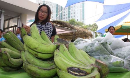 Giá chuối tăng, chưa vội mừng!