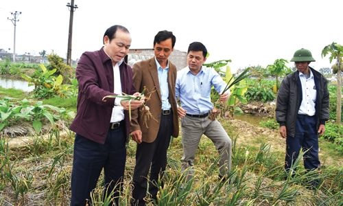 trang-2---anh-bai-chinh-20180312-2103396