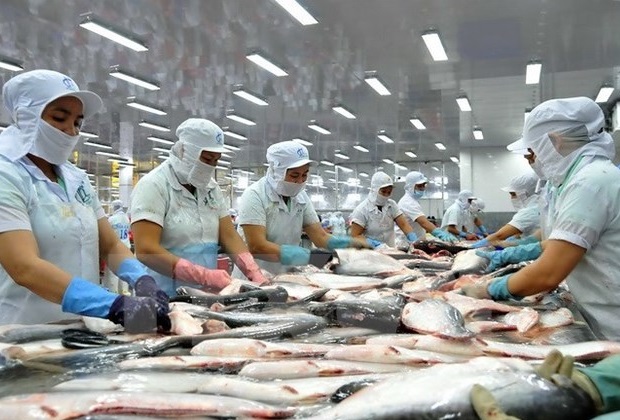 ASEAN đứng thứ 3 nhập khẩu ca tra của Việt Nam