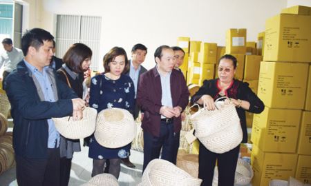 Tiền Hải chọn mô hình phát triển HTX