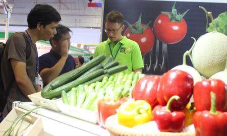 Nông sản xuất khẩu còn “nghẽn” khâu thủ tục