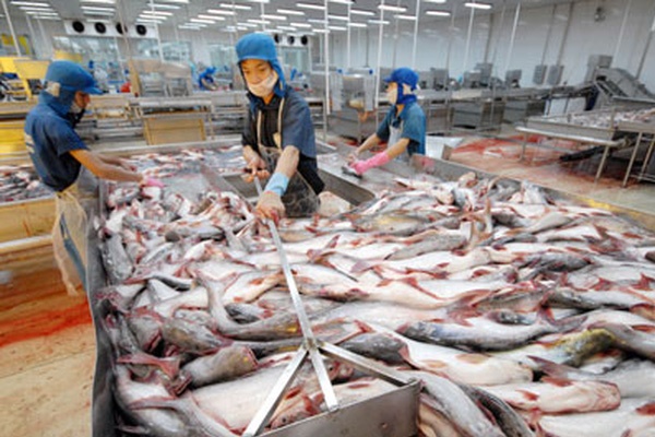 Mỹ áp thuế chống bán phá giá cá tra cao nhất