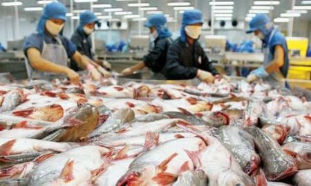 Cá tra - basa chịu thuế khủng của Hoa Kỳ là không khách quan
