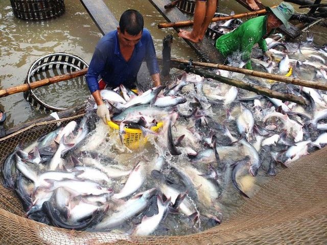 ca-789bet có uy tín không-20180320-17033932-1521565084.jpg