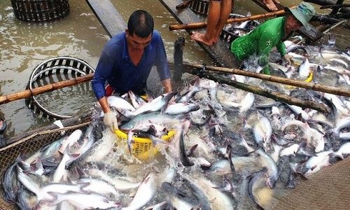 xuat-khau-ca-789bet tặng 100k-20180320-23034879-15215