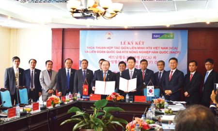 Liên minh HTX Việt Nam - NACF: Hợp tác mang lại lợi ích thiết thực