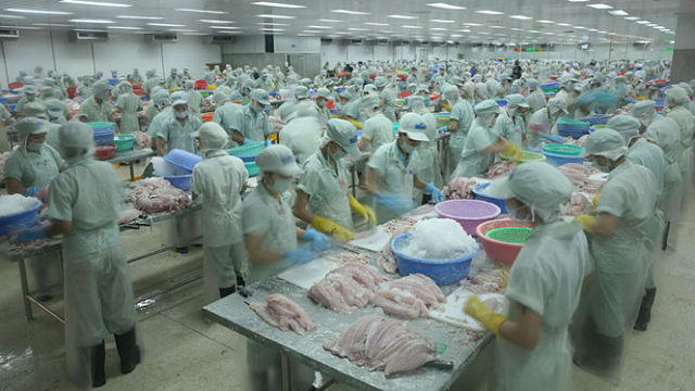 Bộ Nông nghiệp Mỹ: Cá tra Việt Nam đạt 'chuẩn' Mỹ
