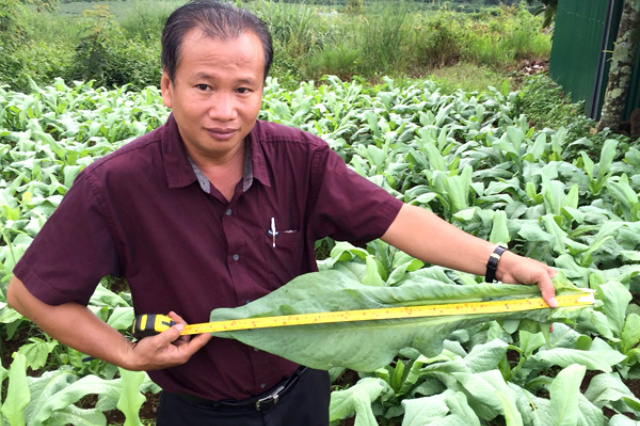 Bo-cong-anh-1-2375-1522297750.jpg