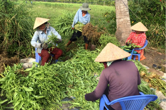 Bo-cong-anh-2-7369-1522297750.jpg