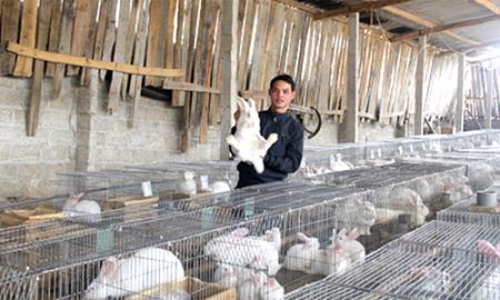 Chủ động phát triển kinh tế gắn với bảo vệ môi trường