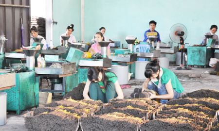Vĩnh Phúc: Sức bật từ các HTX tiểu thủ công nghiệp