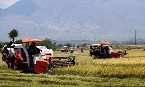 canh-dong-lon-20180401-22040311-15226018