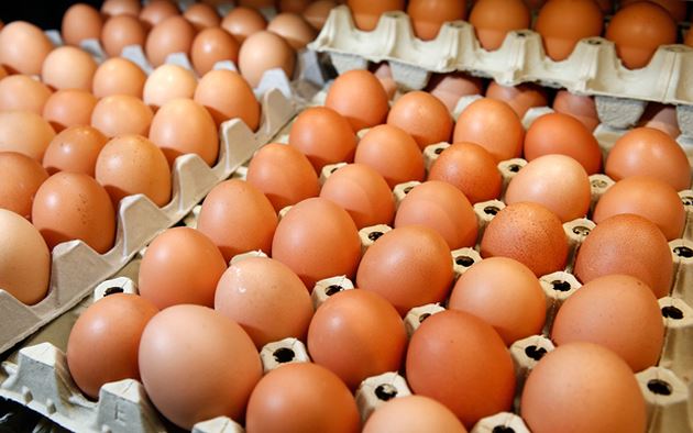 Công bố hạn ngạch nhập khẩu muối và trứng gia cầm