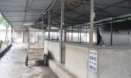 Hải Phòng: Xây dựng chợ rồi... để đấy
