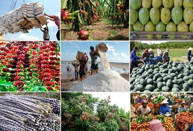 Tăng trưởng GDP nông nghiệp cao nhất 13 năm qua