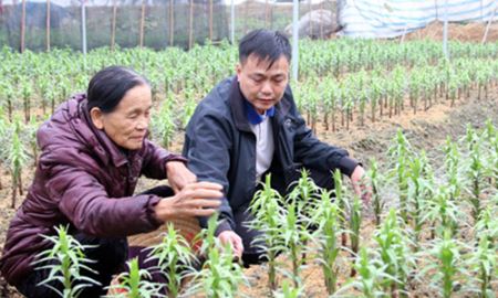 Bắc Ninh: Lực đẩy từ mô hình HTX kiểu mới