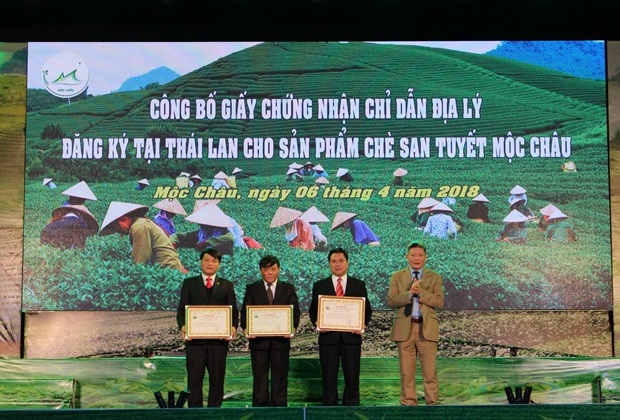 Chứng nhận chỉ dẫn địa lý Chè Shan tuyết Mộc Châu tại Thái Lan