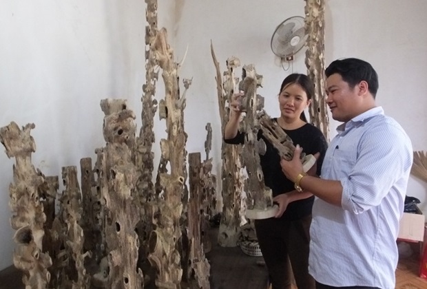 Hàn Quốc đầu tư phát triển dó trầm và sản phẩm trầm hương Hà Tĩnh