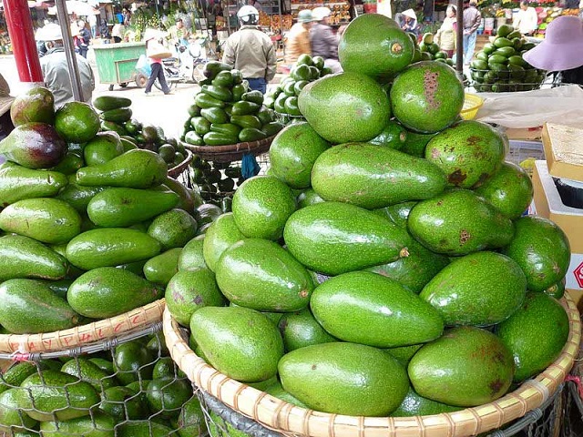 Đắk Lắk: giá bơ trái vụ tăng cao