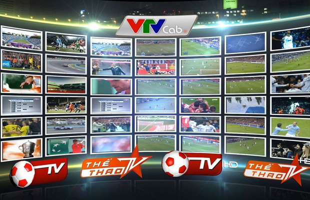 Không đủ điều kiện tiến hành phiên IPO của VTVCab