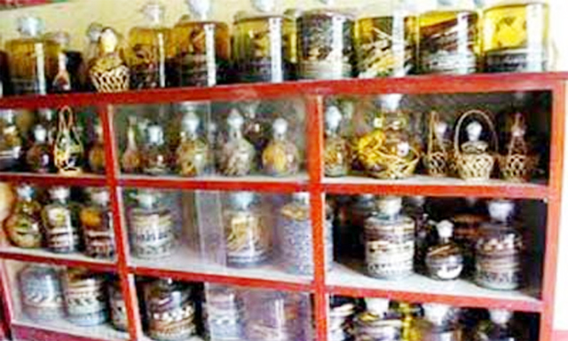 HTX Thịnh Hưng:Phát triển bền vững nghề chăn nuôi rắn