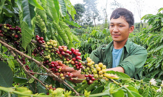 Đăk Lăk: Khởi sắc Ea Nam