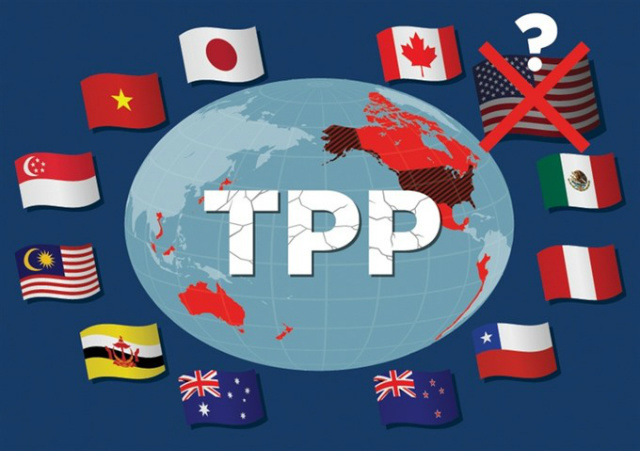 TPP-8281-1524105180.jpg