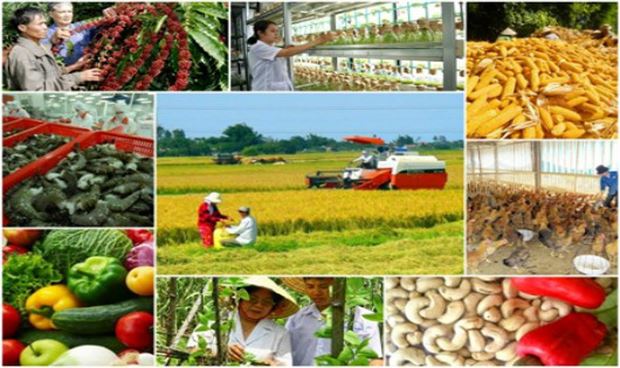 Hàng loạt ưu đãi mới cho doanh nghiệp đầu tư vào nông nghiệp