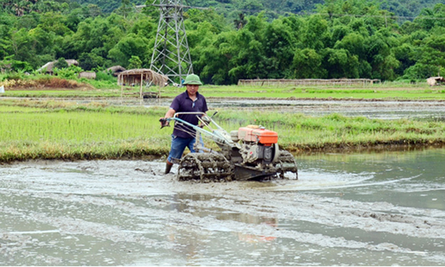 Tuyên Quang: Quan tâm đúng mức ATVSLĐ trong sản xuất nông nghiệp