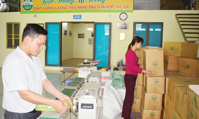 HTX Hùng Lô liên kết hộ làng nghề