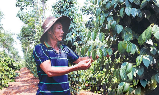 Bảo vệ môi trường từ sản phẩm sạch