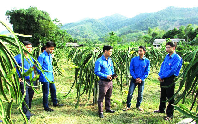 Quang Bình (Hà Giang): HTX tạo việc làm, nâng cao thu nhập