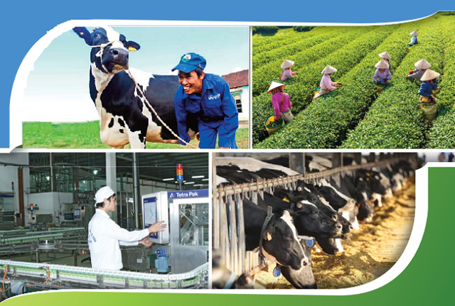 Biên lãi gộp tăng mạnh, cổ phiếu GTN vẫn giảm giá
