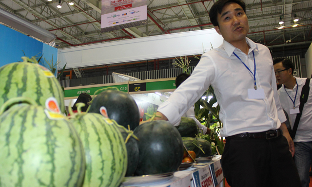 Nông sản mất giá, xuất khẩu còn lo