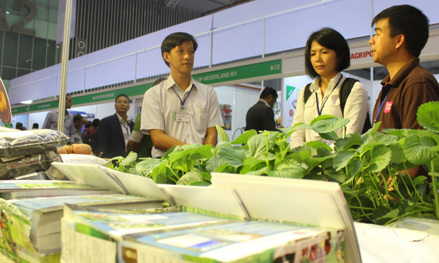 Giải bài toán xuất khẩu thực phẩm