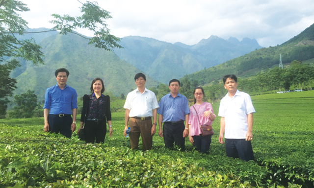 Lai Châu giảm nghèo gắn với chuỗi giá trị