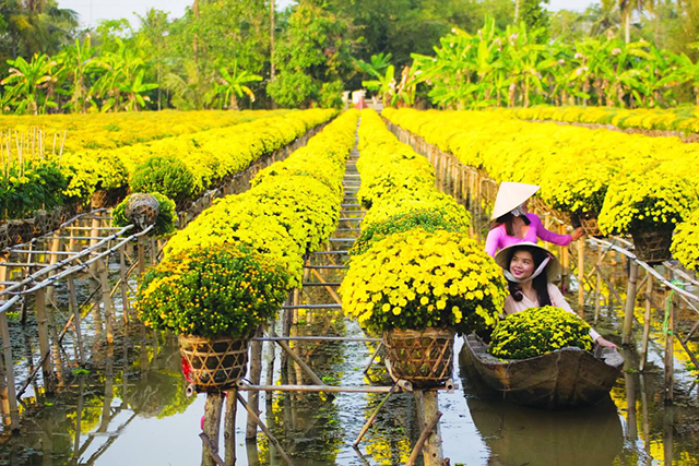 Nông thôn mới ở “thủ phủ” hoa Sa Đéc