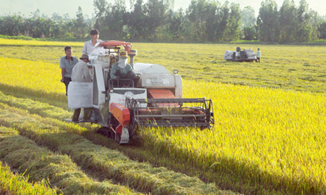 Sản xuất tiên tiến không lo biến đổi khí hậu
