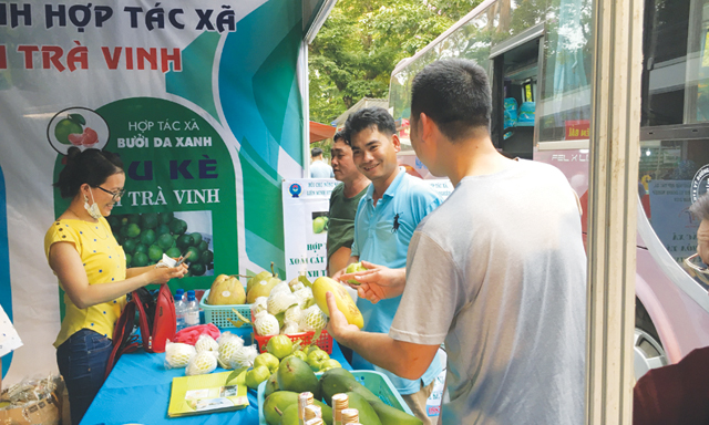 Chuỗi giá trị: Tương lai của nền kinh tế HTX