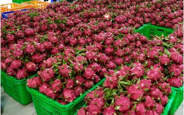 MM Mega Market Việt Nam xuất khẩu nông sản Việt sang hệ thống Big C Thái Lan
