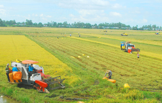 HTX Yên Bắc phát huy thế mạnh, sản xuất an toàn
