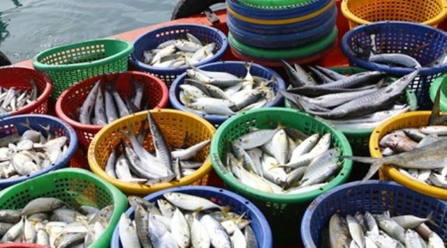 091927-thuy-san-17-11-21-070-9549-152748