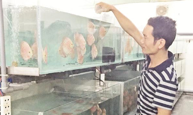 Triển vọng từ nghề cá cảnh