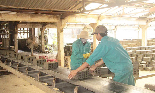 HTX Ân Tín (Bình Định): Hiệu quả nhờ sản xuất an toàn